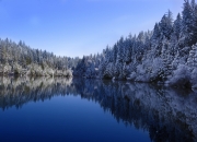 英雄联盟总决赛门票-迪马利亚第82分钟的落寞，一场无人庆祝的生涯绝唱？