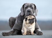 LOL决赛-速度与逆转的交响，F1揭幕战焦点与凯尔特人翻盘勇士的体育史诗