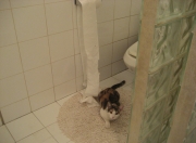 -东瀛利刃刺穿巴斯克铁壁，三笘薰决胜时刻导演勒沃库森巅峰之战