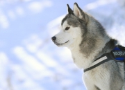 英雄联盟总决赛直播-利雅得的救赎，梅西绝境世界波拯救沙特生死战