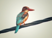 英雄联盟总决赛时间-足球双星闪耀，马丁内利爆发助枪手狂飙，埃及传奇击溃国际米兰