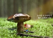 英雄联盟总决赛赛程-四年前的剧本，全新的克莱，凯尔特人硬仗取胜灰熊背后