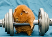 LOL赛事-双城记，英超争冠的窒息悬念与欧冠夜里的意外绝杀