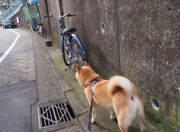 英雄联盟总决赛-莫德里奇的最后一舞，当黄黑军团斩落东方巨龙