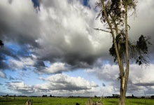 英雄联盟总决赛直播-锁死与接管，36岁卡瓦哈尔用一道铁闸，撞开阿根廷的叹息之墙