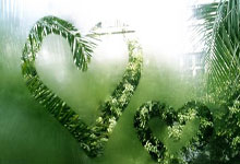 当紫金军团遇上日耳曼战车：一场改写体育商业版图的跨界烽烟