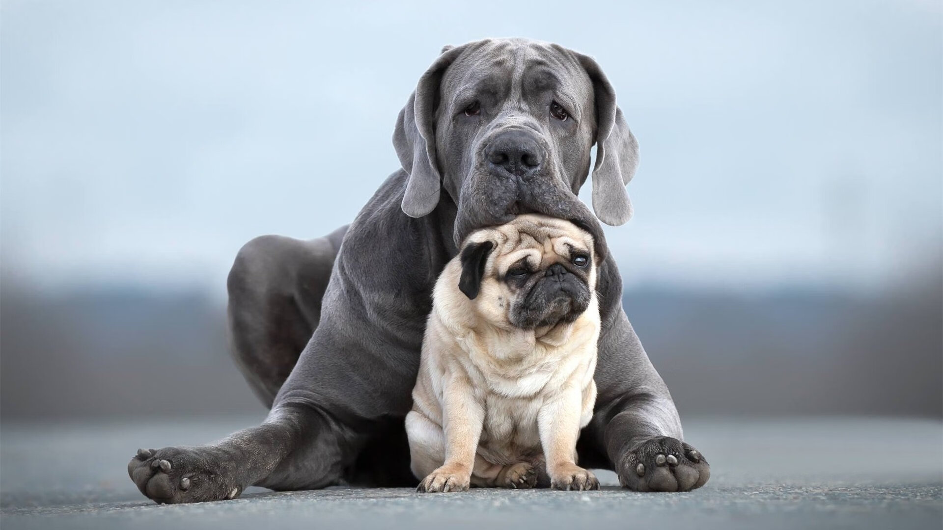 速度与逆转的交响,F1揭幕战焦点与凯尔特人翻盘勇士的体育史诗