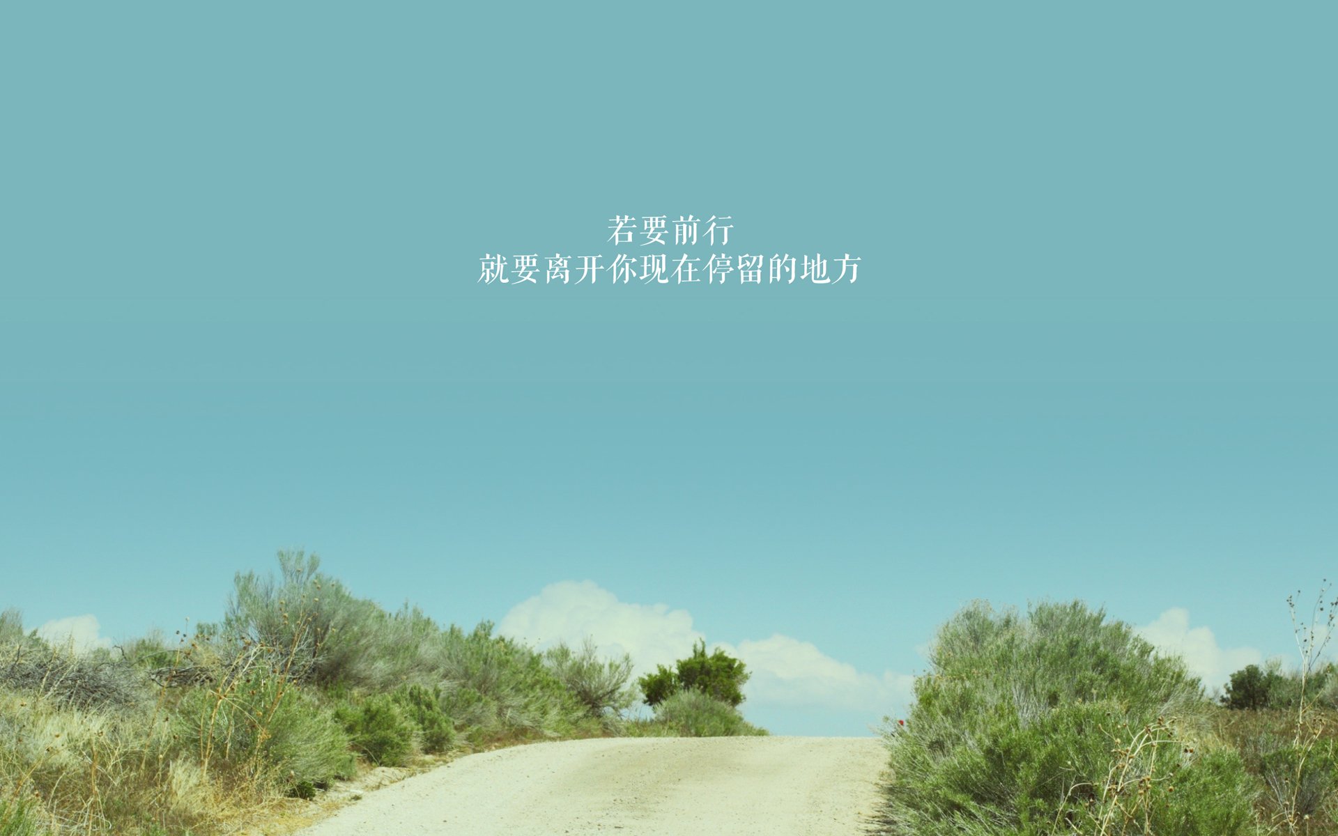 极速攻防,从赛道到球场的胜负辩证法