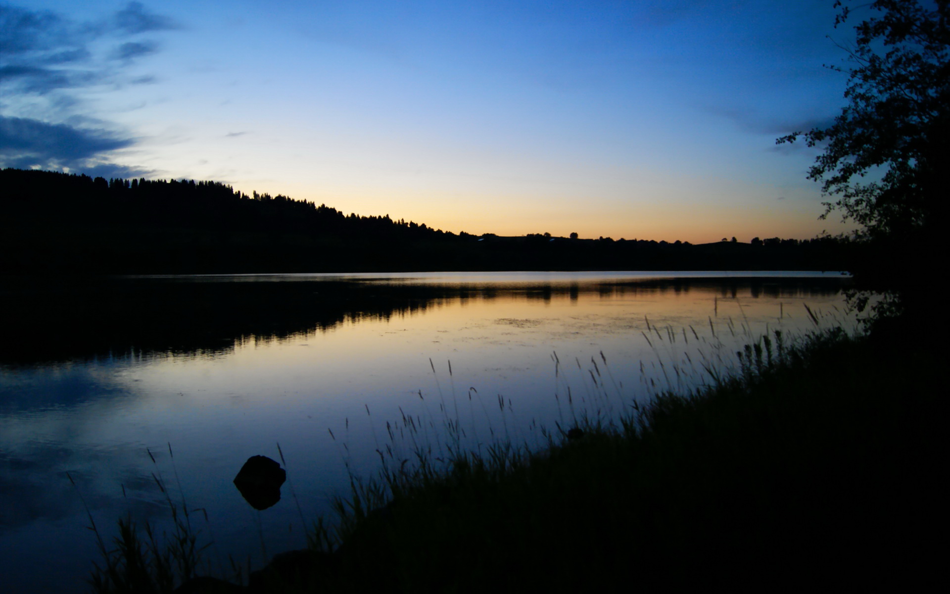 翡冷翠的节奏与委内瑞拉的荆棘,现代竞技场的东决式生存寓言