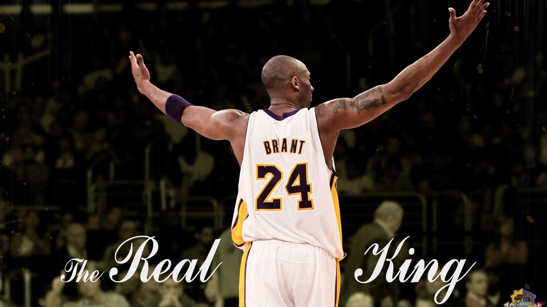 封锁与突破，西决生死战焦点战中的荷兰式防守智慧