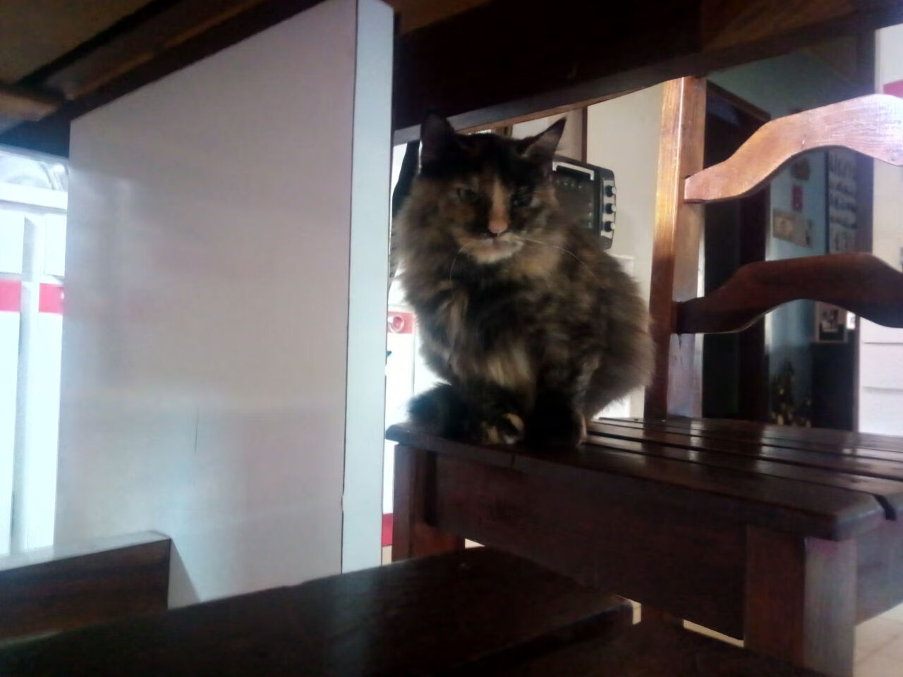 一场不存在的比赛，贝林厄姆，埃及与洪都拉斯的唯一解法