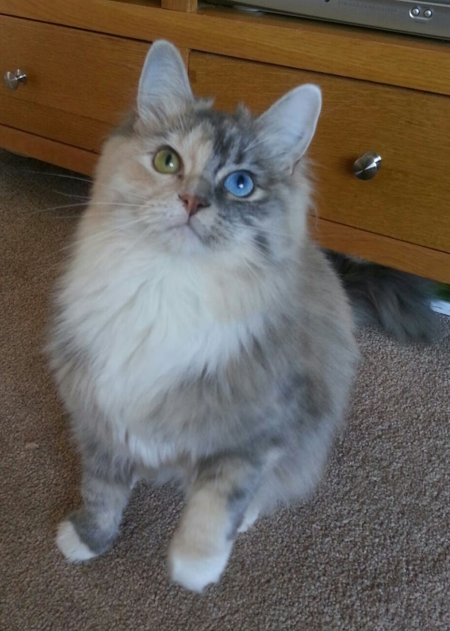 后卫的愤怒，金玟哉如何在国家德比之夜成为巴萨的进攻噩梦