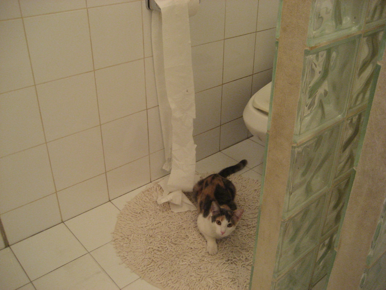 内外双核轰塌防线！快船主场终结深圳队，武切维奇制霸禁区献压制级发挥